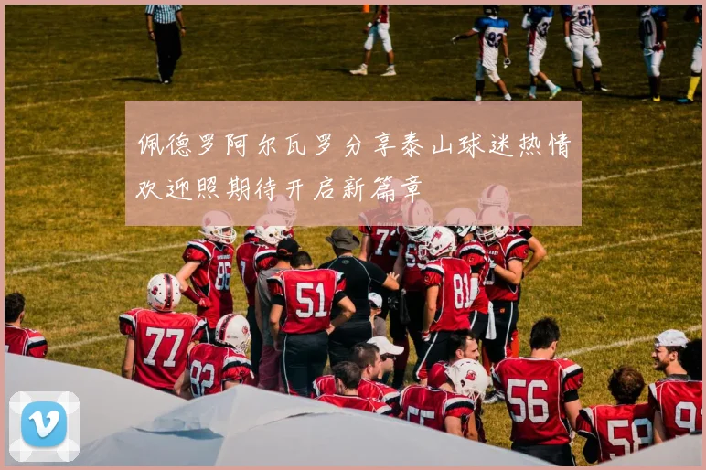 佩德罗阿尔瓦罗分享泰山球迷热情欢迎照期待开启新篇章
