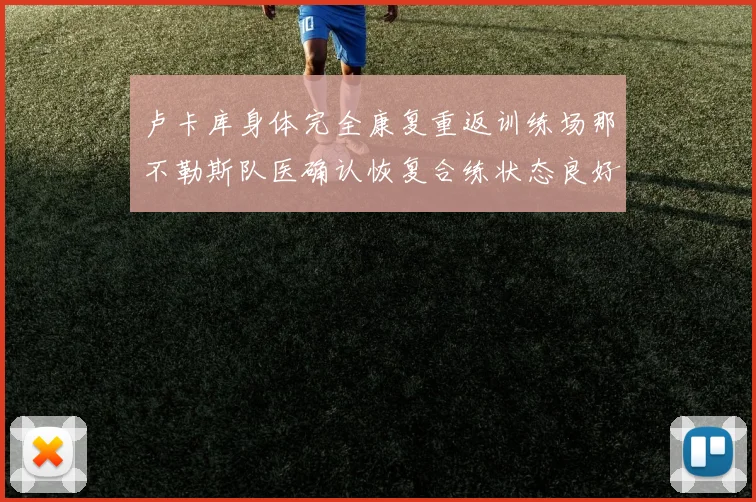卢卡库身体完全康复重返训练场那不勒斯队医确认恢复合练状态良好