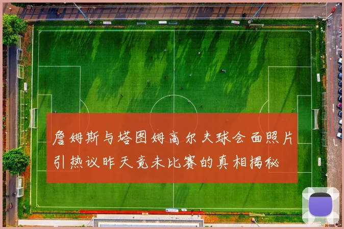 詹姆斯与塔图姆高尔夫球会面照片引热议昨天竟未比赛的真相揭秘